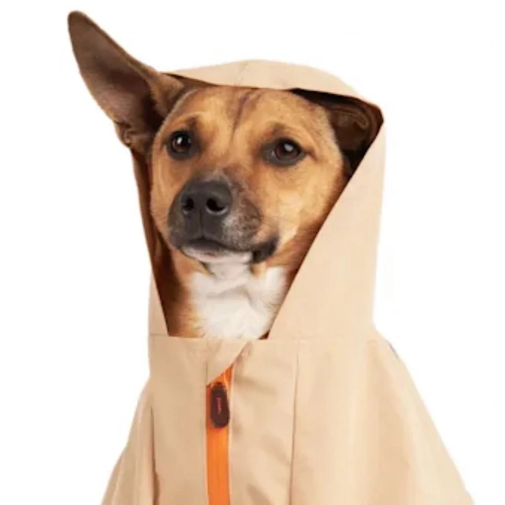 NWT Reddy colorblock dog hoodie XL
